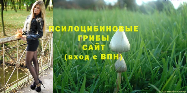 соль ск Среднеуральск