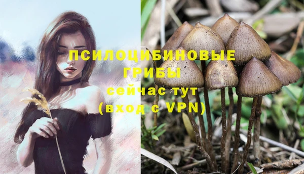 каннабис Яранск