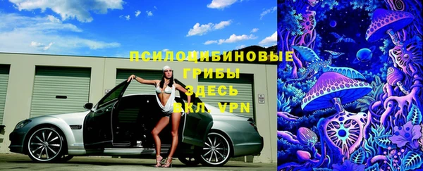 соль ск Среднеуральск